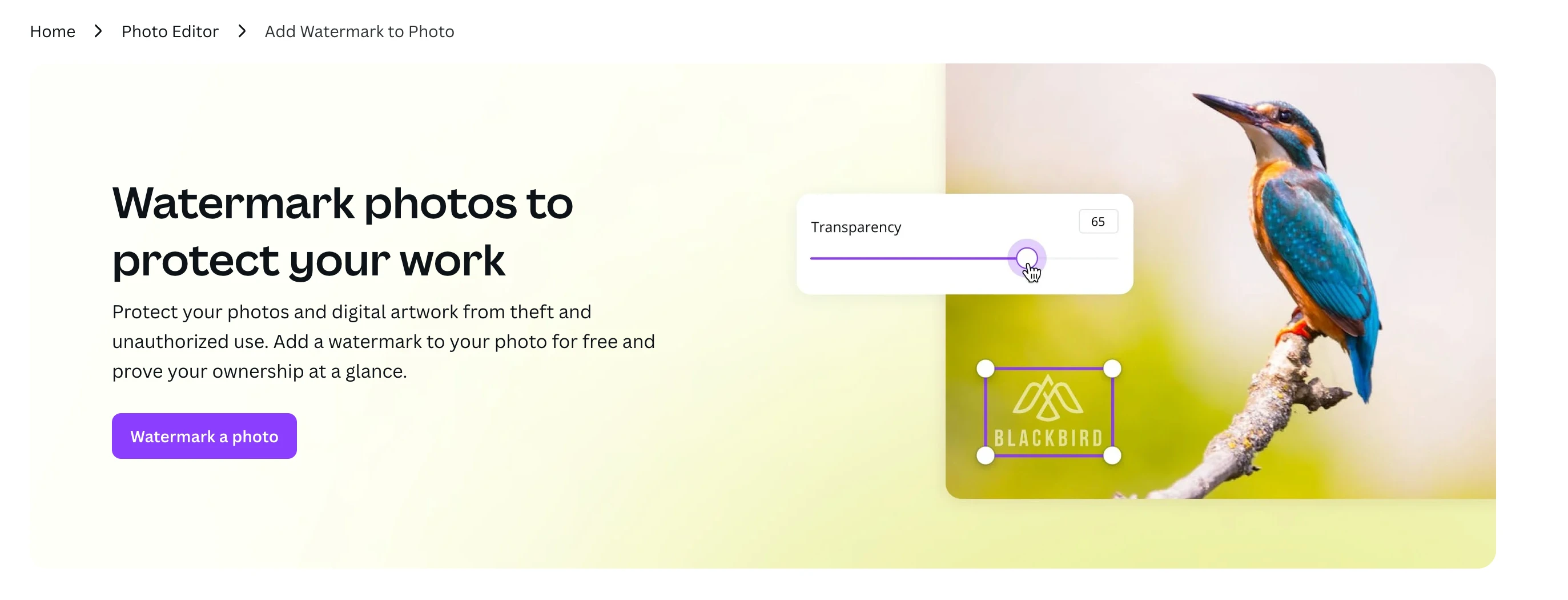 Canva photo watermark maker