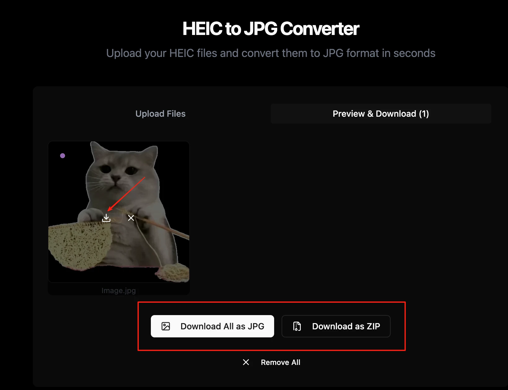 Downloading converted JPG files