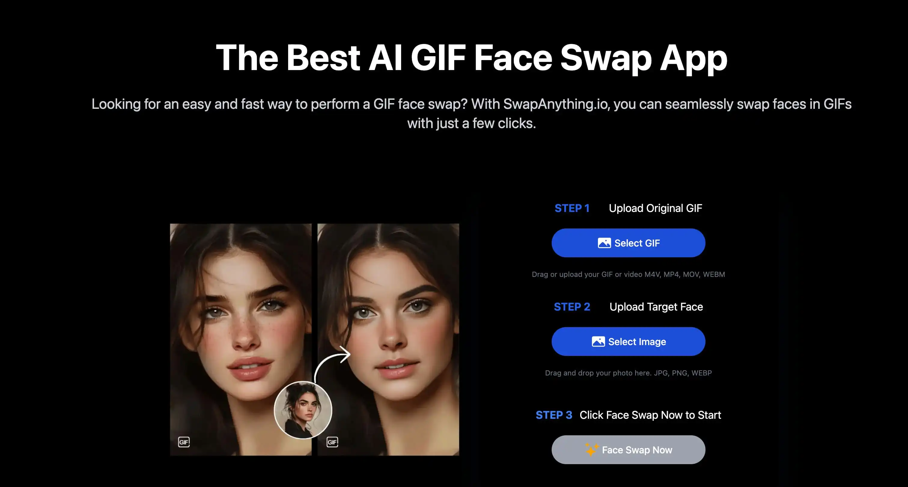 SwapAnything.io interface and results